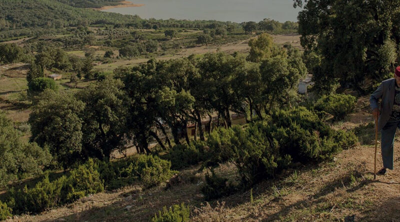 Jeunesse solidaire en Méditerranée - Maroc